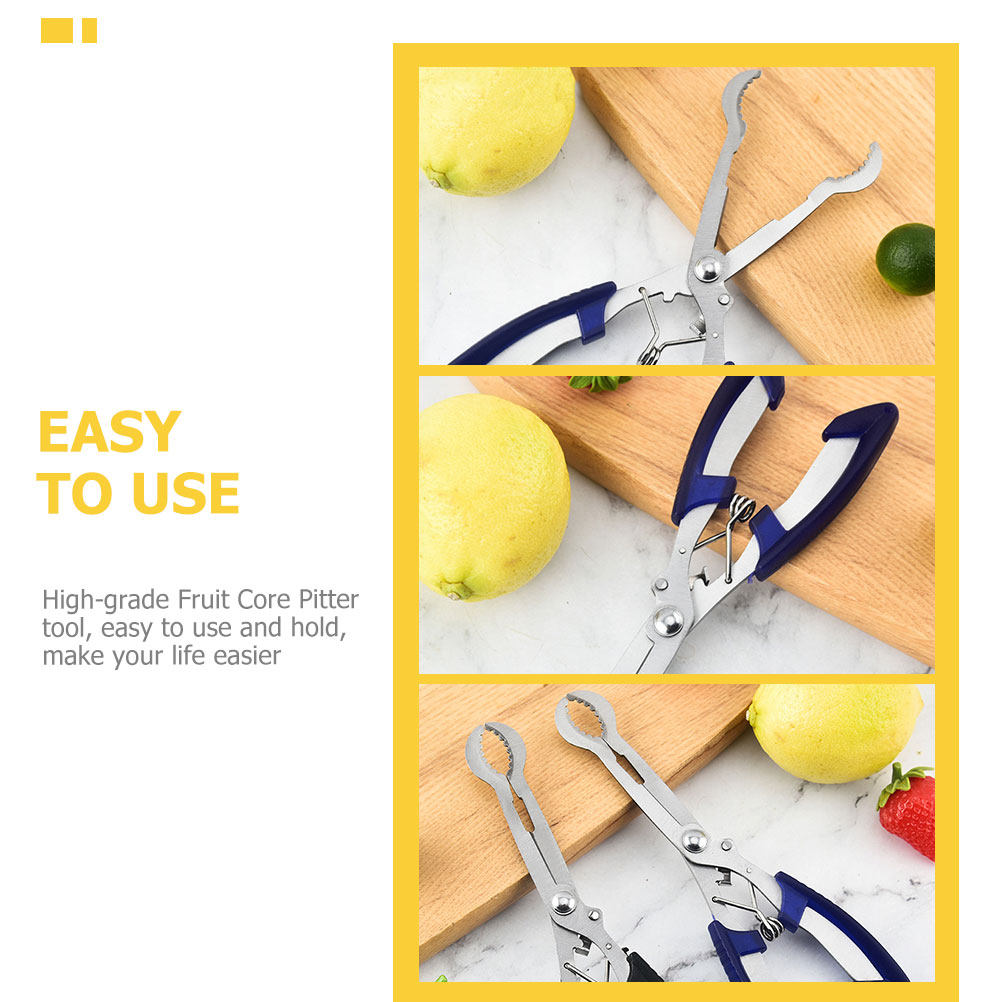 Hawthorn Core Remover Tool Por - đánh giá và giá Kitchen Gadgets Tools